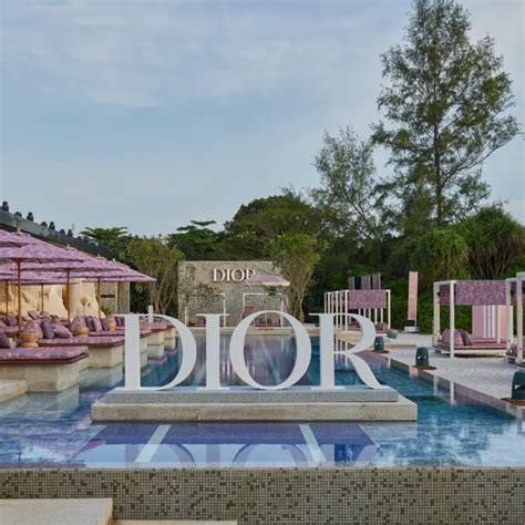 dior one and only desaru